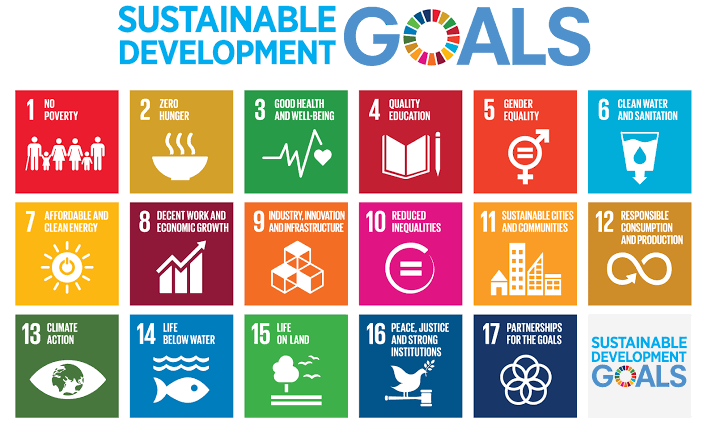 Kontribusi STKIP Andi Matappa terhadap SDGs